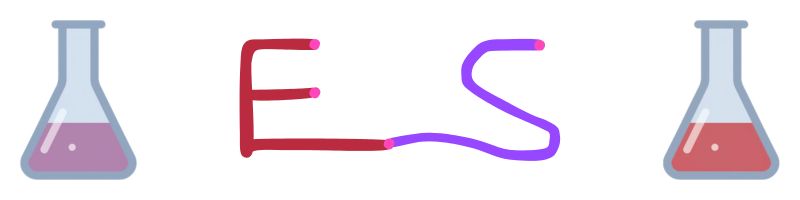 Enseignements Scientifiques